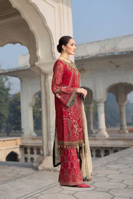 FE-206